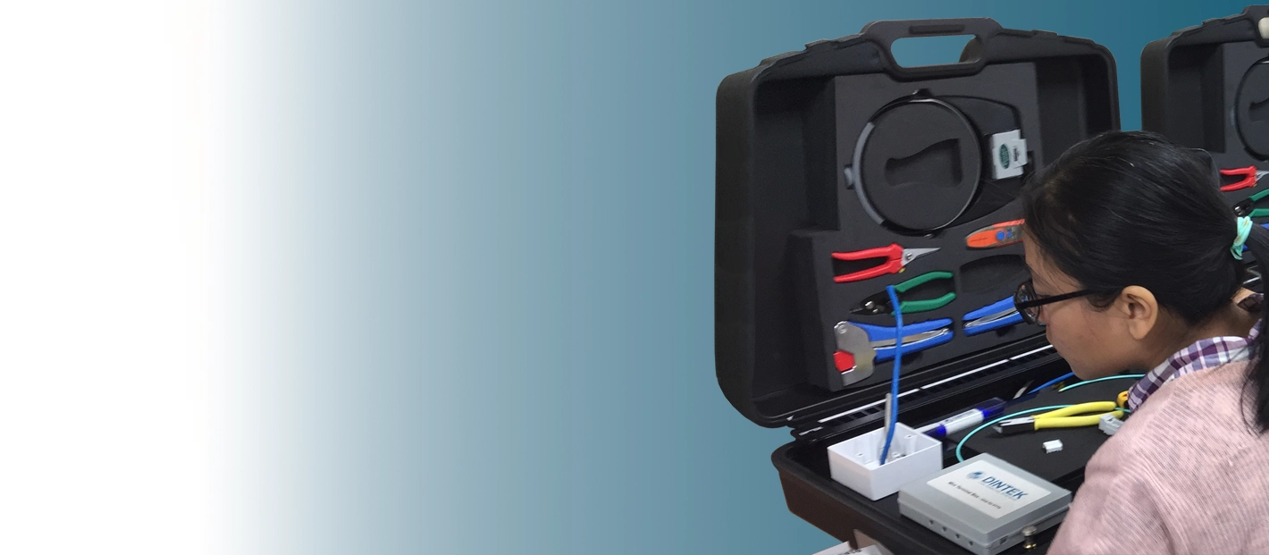 DINTEK TERMINATE 2025