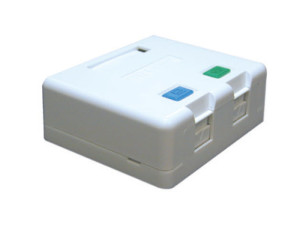 Surface Mounted Dual RJ45 Unloaded Box