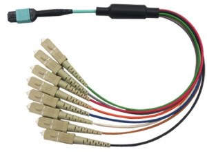 MPO (F) - 12 x SC Simplex - OM3 - With reversible MTX