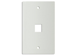 DINTEK 1 Port Wall Plate US Style (White)	