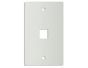 DINTEK 1 Port Wall Plate US Style (White)	